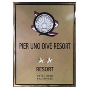 DOT Award 1